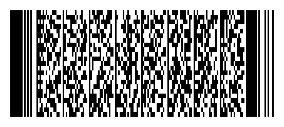 pdf417-9ee79481-b8b8-4613-b8cb-7755ceb4ee53